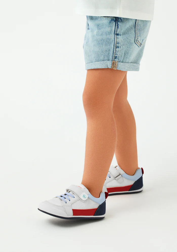 tesh azul 4